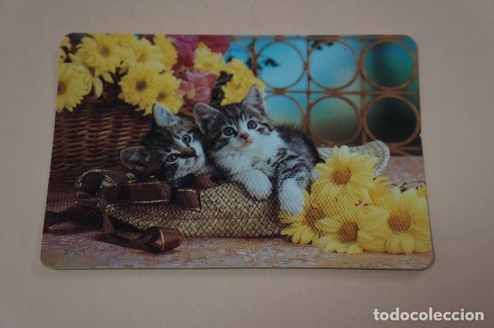 Sammeln von Kalendern: CALENDARIO DE BOLSILLO GATOS A&Ntilde;O 1992 LOTE 4 MIRAR FOTOS