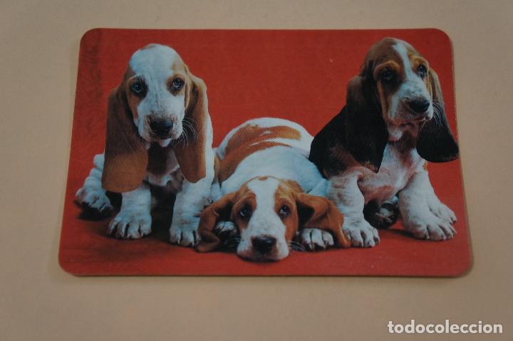 Sammeln von Kalendern: CALENDARIO DE BOLSILLO PERROS A&Ntilde;O 1993 LOTE 4 MIRAR FOTOS