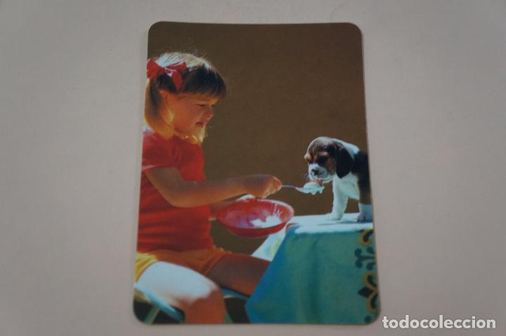 Sammeln von Kalendern: CALENDARIO DE BOLSILLO NI&Ntilde;A Y PERRO A&Ntilde;O 1993 LOTE 4 MIRAR FOTOS