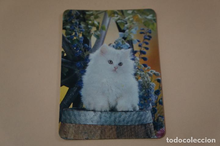 Sammeln von Kalendern: CALENDARIO DE BOLSILLO GATO A&Ntilde;O 1993 LOTE 4 MIRAR FOTOS