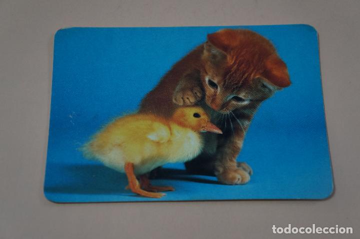 Sammeln von Kalendern: CALENDARIO DE BOLSILLO GATO Y POLLITO A&Ntilde;O 1993 LOTE 4 MIRAR FOTOS