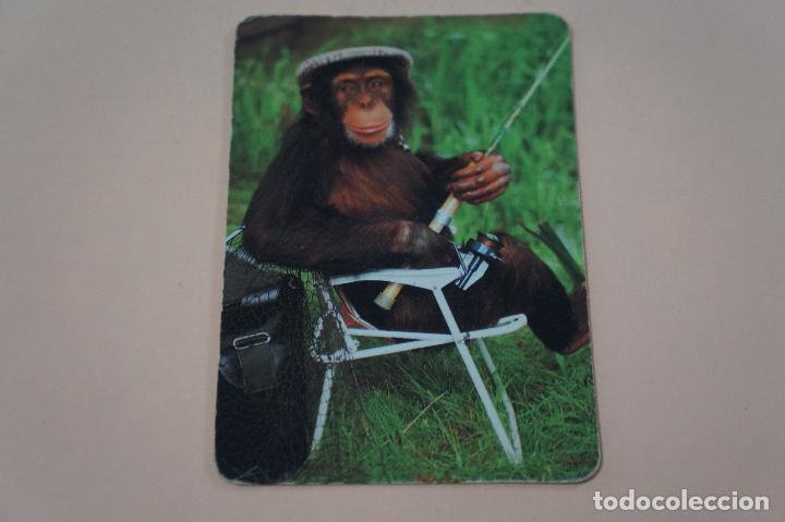 Sammeln von Kalendern: CALENDARIO DE BOLSILLO CHIMPANC&Eacute; A&Ntilde;O 1993 LOTE 4 MIRAR FOTOS