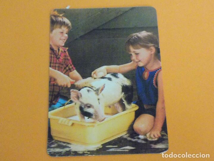 Coleccionismo calendarios: CALENDARIO 1988 - Foto 1