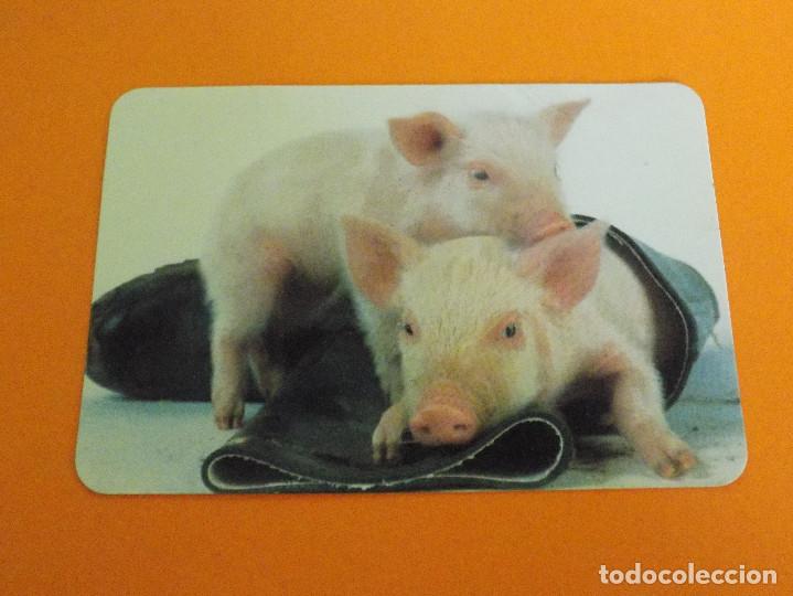Coleccionismo calendarios: CALENDARIO 2009 - Foto 1