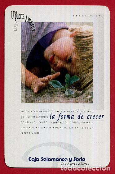 Sammeln von Kalendern: CALENDARIO FOURNIER , PUBLICIDAD CAJA SALAMANCA Y SORIA , 1997 , ORIGINAL , CAL8897