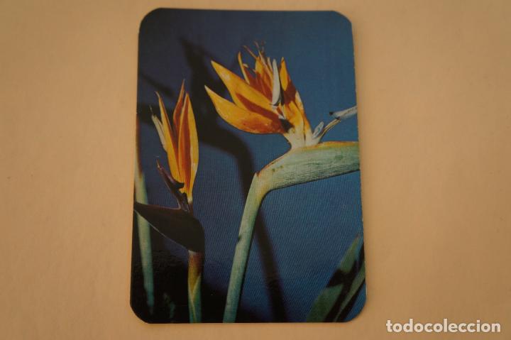 Coleccionismo Calendarios: CALENDARIO DE BOLSILLO FLOR A&Ntilde;O 1971 MIRAR FOTO TRASERA LOTE 6
