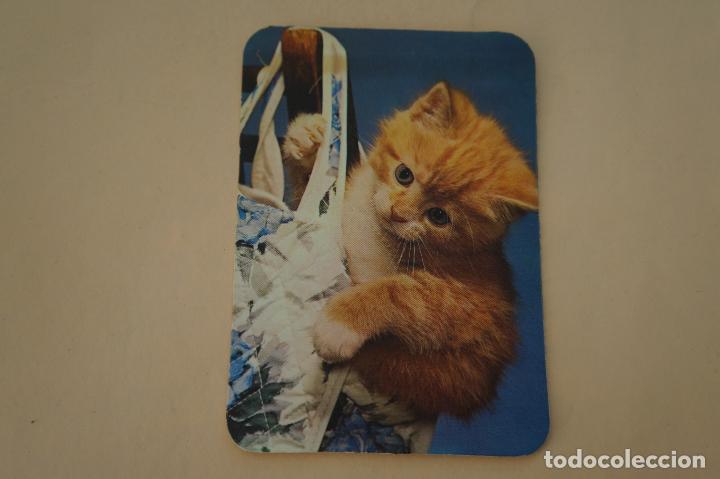 Coleccionismo Calendarios: CALENDARIO DE BOLSILLO:GATITO,A&Ntilde;O 1976,MIRAR FOTO TRASERA,LOTE 6