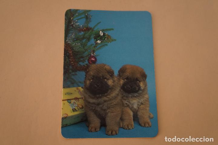 Colecionismo Calend&aacute;rios: CALENDARIO DE BOLSILLO SIN PUBLICIDAD CACHORRITOS A&Ntilde;O 1994 MIRAR FOTO TRASERA LOTE 6