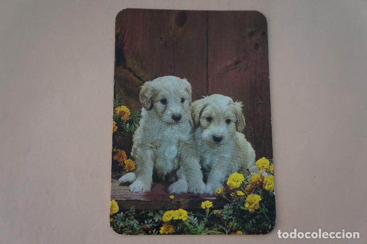 Coleccionismo Calendarios: CALENDARIO DE BOLSILLO CACHORRITOS A&Ntilde;O 1983 MIRAR FOTO TRASERA LOTE 6