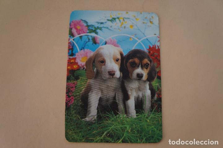 Coleccionismo Calendarios: CALENDARIO DE BOLSILLO CON PUBLICIDAD CACHORRITOS A&Ntilde;O 1983 MIRAR FOTO TRASERA LOTE 6
