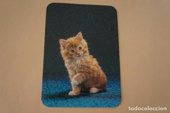 Colecionismo Calend&aacute;rios: CALENDARIO DE BOLSILLO GATITO A&Ntilde;O 1985 MIRAR FOTO TRASERA LOTE 6