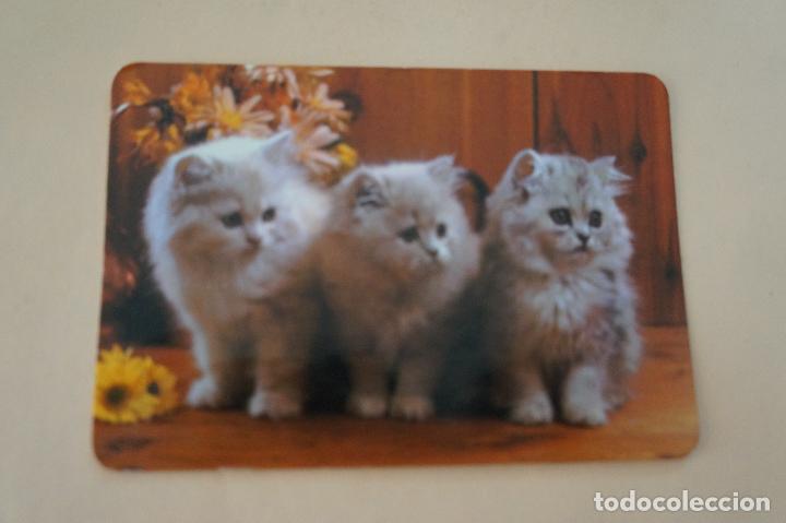 Colecionismo Calend&aacute;rios: CALENDARIO DE BOLSILLO GATITOS A&Ntilde;O 1986 MIRAR FOTO TRASERA LOTE 6