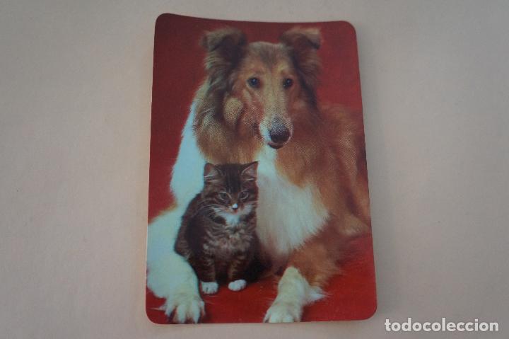 Colecionismo Calend&aacute;rios: CALENDARIO DE BOLSILLO PERRO Y GATO A&Ntilde;O 1986 MIRAR FOTO TRASERA LOTE 6