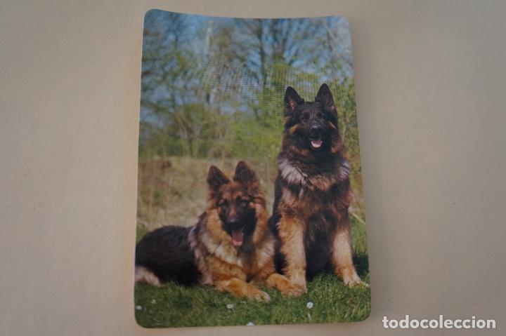 Colecionismo Calend&aacute;rios: CALENDARIO DE BOLSILLO CON PUBLICIDAD PASTORES ALEMANES A&Ntilde;O 1986 MIRAR FOTO TRASERA LOTE 6
