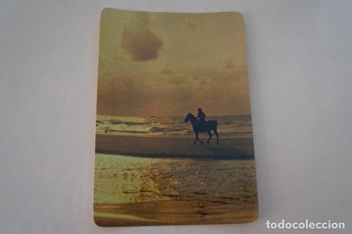 Colecionismo Calend&aacute;rios: CALENDARIO DE BOLSILLO CON PUBLICIDAD CABALLO POR LA PLAYA A&Ntilde;O 1986 MIRAR FOTO TRASERA LOTE 6