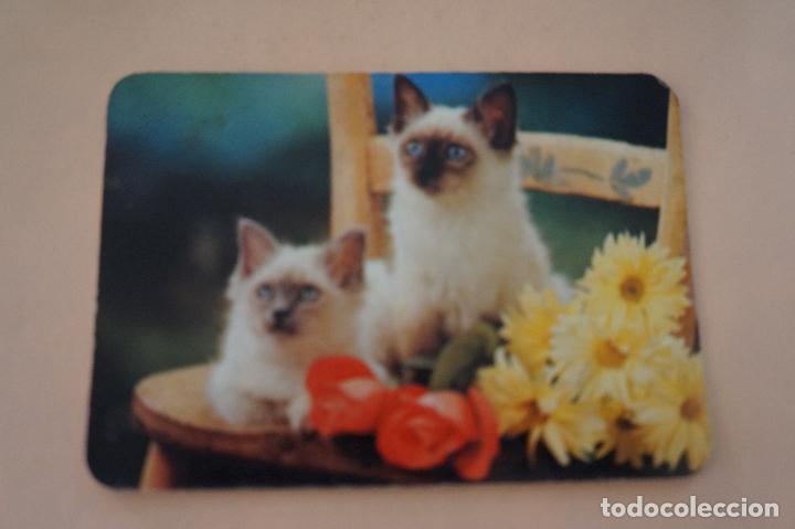 Sammeln von Kalendern: CALENDARIO DE BOLSILLO GATITOS A&Ntilde;O 1989 MIRAR FOTO TRASERA LOTE 6