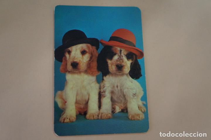 Sammeln von Kalendern: CALENDARIO DE BOLSILLO PERROS A&Ntilde;O 1991 MIRAR FOTO TRASERA LOTE 6