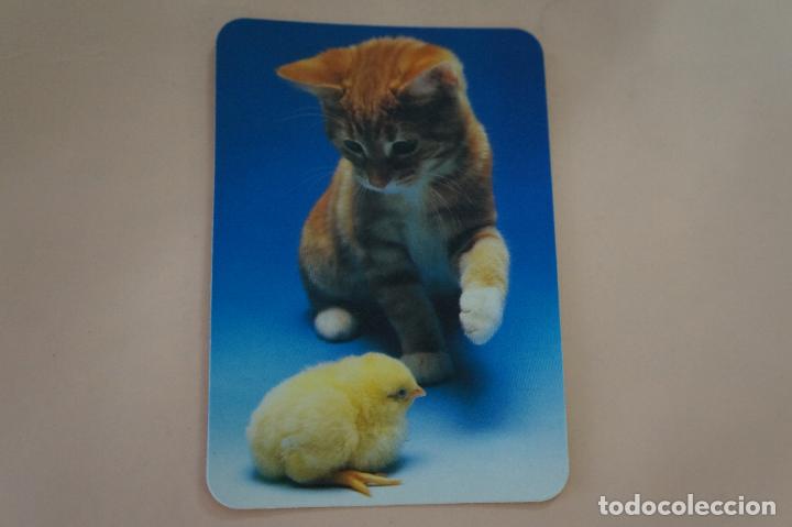 Sammeln von Kalendern: CALENDARIO DE BOLSILLO GATO Y POLLITO A&Ntilde;O 1991 MIRAR FOTO TRASERA LOTE 6