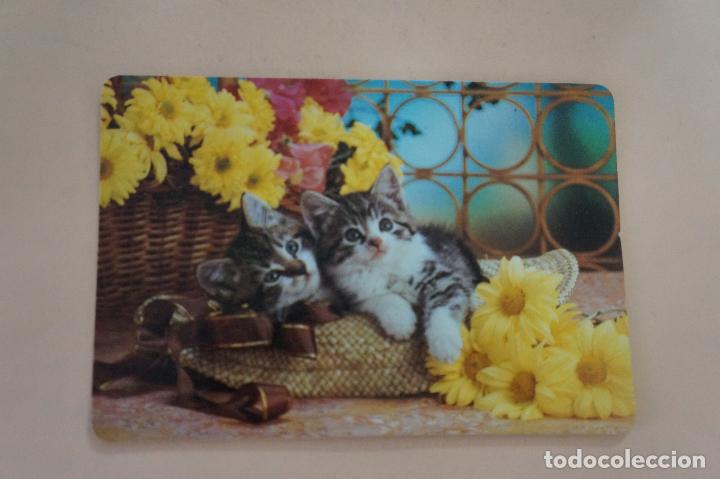 Coleccionismo Calendarios: CALENDARIO DE BOLSILLO GATITOS A&Ntilde;O 1992 MIRAR FOTO TRASERA LOTE 6