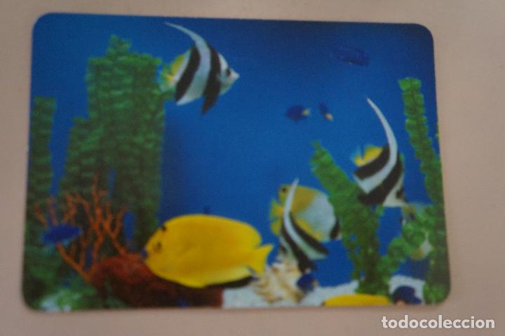 Coleccionismo Calendarios: CALENDARIO DE BOLSILLO PECES A&Ntilde;O 1993 MIRAR FOTO TRASERA LOTE 6