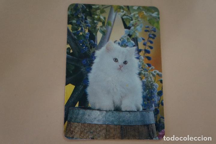Coleccionismo Calendarios: CALENDARIO DE BOLSILLO GATITO A&Ntilde;O 1993 MIRAR FOTO TRASERA LOTE 6