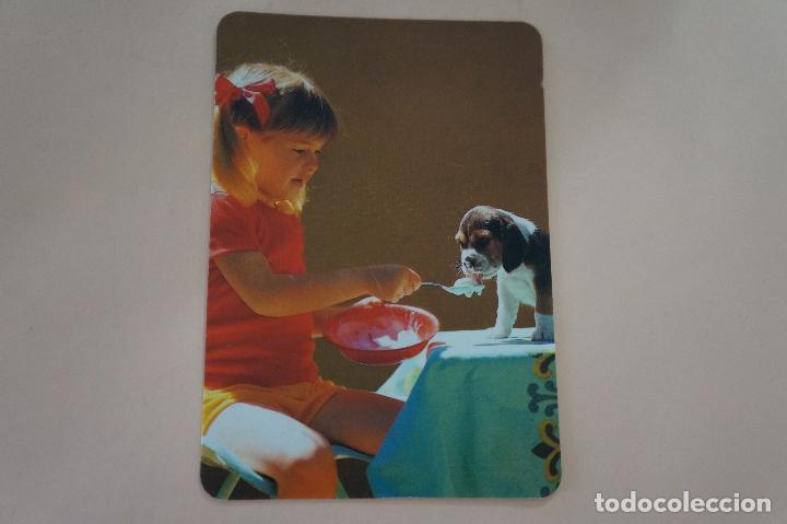 Coleccionismo Calendarios: CALENDARIO DE BOLSILLO NI&Ntilde;A CON PERROS A&Ntilde;O 1993 MIRAR FOTO TRASERA LOTE 6