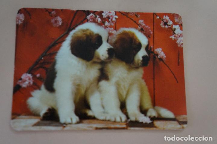 Coleccionismo Calendarios: CALENDARIO DE BOLSILLO PERRITOS A&Ntilde;O 1994 MIRAR FOTO TRASERA LOTE 6