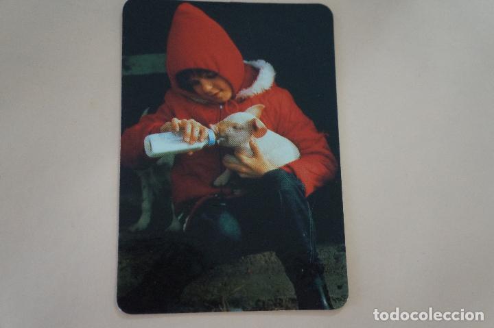 Coleccionismo Calendarios: CALENDARIO DE BOLSILLO NI&Ntilde;A Y CERDO A&Ntilde;O 1994 MIRAR FOTO TRASERA LOTE 6