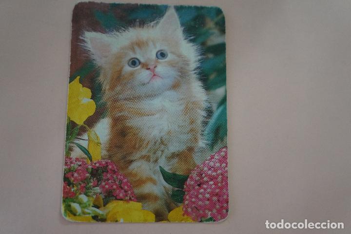 Coleccionismo Calendarios: CALENDARIO DE BOLSILLO GATO A&Ntilde;O 1995 A&Ntilde;O 1995 MIRAR FOTO TRASERA LOTE 6
