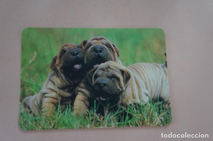 Coleccionismo Calendarios: CALENDARIO DE BOLSILLO PERRITOS A&Ntilde;O 1995 MIRAR FOTO TRASERA LOTE 6