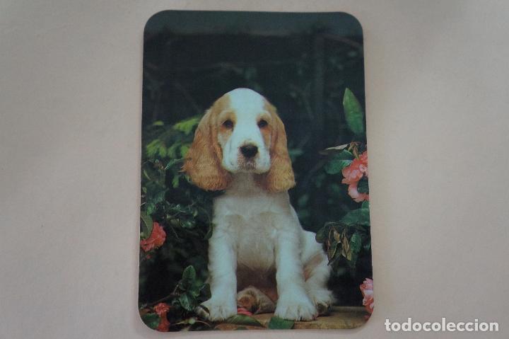 Coleccionismo Calendarios: CALENDARIO DE BOLSILLO PERRO A&Ntilde;O 1995 MIRAR FOTO TRASERA LOTE 6