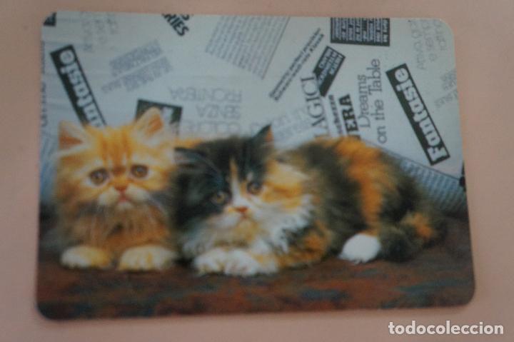 Coleccionismo Calendarios: CALENDARIO DE BOLSILLO GATOS A&Ntilde;O 1996 MIRAR FOTO TRASERA LOTE 6