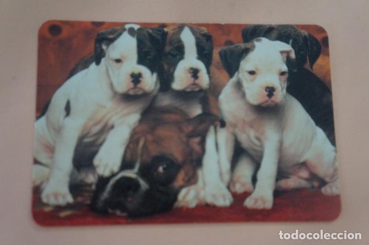 Coleccionismo Calendarios: CALENDARIO DE BOLSILLO PERROS A&Ntilde;O 1997 MIRAR FOTO TRASERA LOTE 6