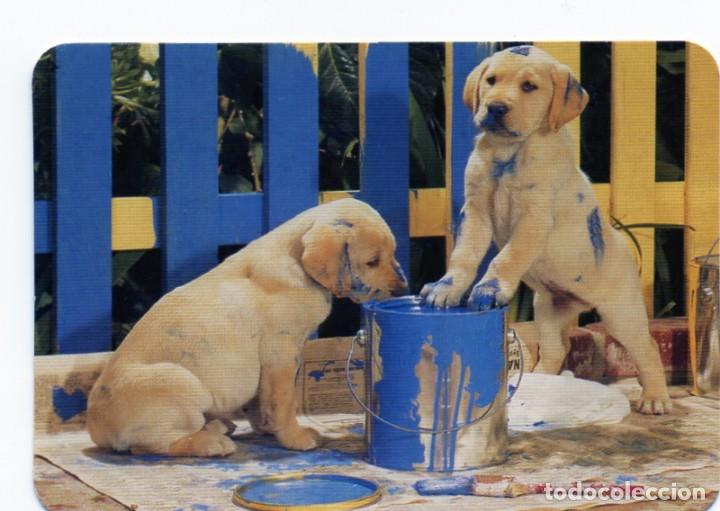 Calendario de Serie 2003 - SERIE - L. 117