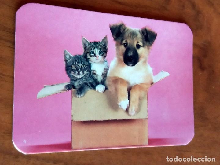 Collectionnisme Calendriers: CALENDARIO DE BOLSILLO - PERROS Y GATOS - CON PUBLICIDAD (VER FOTO ADICIONAL) A&Ntilde;O 1995