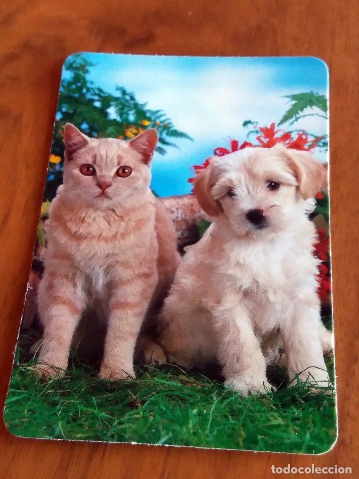 Collectionnisme Calendriers: CALENDARIO DE BOLSILLO - PERROS Y GATOS - CON PUBLICIDAD (VER FOTO ADICIONAL) A&Ntilde;O 1995