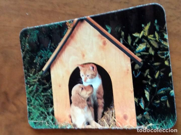 Sammeln von Kalendern: CALENDARIO DE BOLSILLO - GATOS - CON PUBLICIDAD (VER FOTO ADICIONAL) A&Ntilde;O 1991