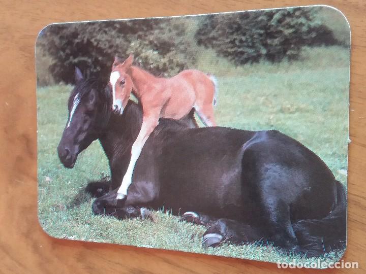 Sammeln von Kalendern: CALENDARIO DE BOLSILLO - CABALLOS - CON PUBLICIDAD (VER FOTO ADICIONAL) A&Ntilde;O 1990