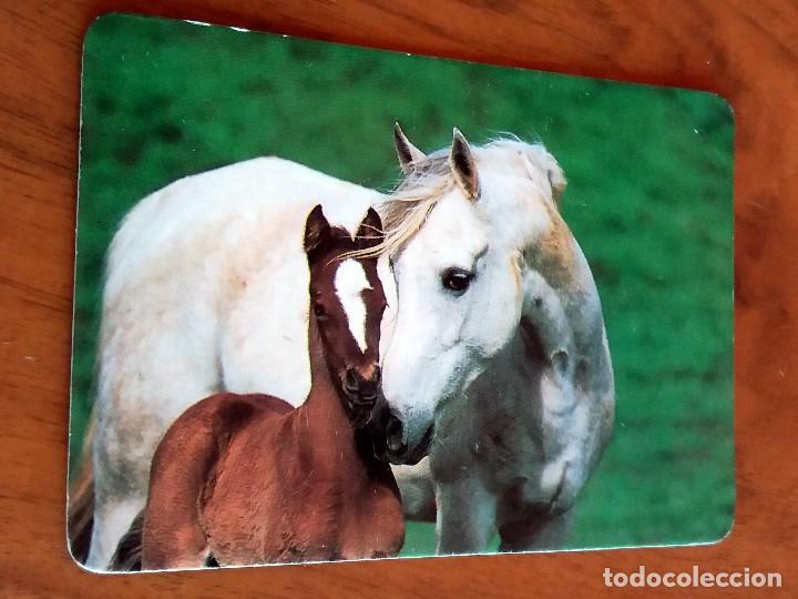 Sammeln von Kalendern: CALENDARIO DE BOLSILLO - CABALLOS - CON PUBLICIDAD (VER FOTO ADICIONAL) A&Ntilde;O 1993