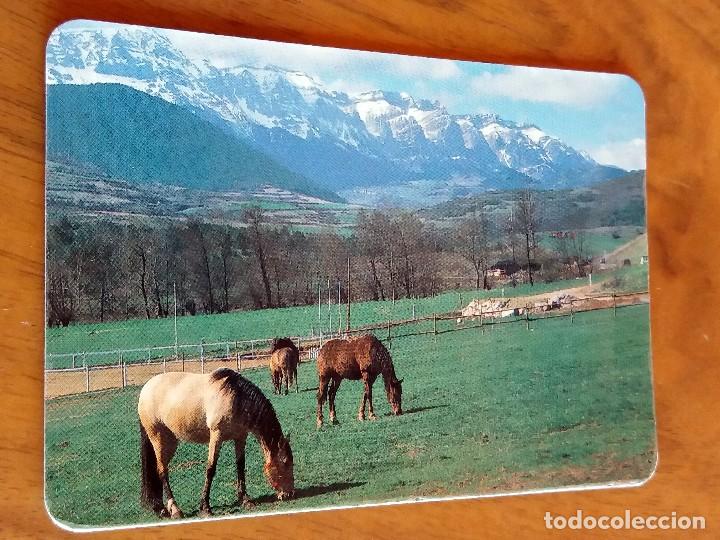 Sammeln von Kalendern: CALENDARIO DE BOLSILLO - CABALLOS - CON PUBLICIDAD (VER FOTO ADICIONAL) A&Ntilde;O 1994
