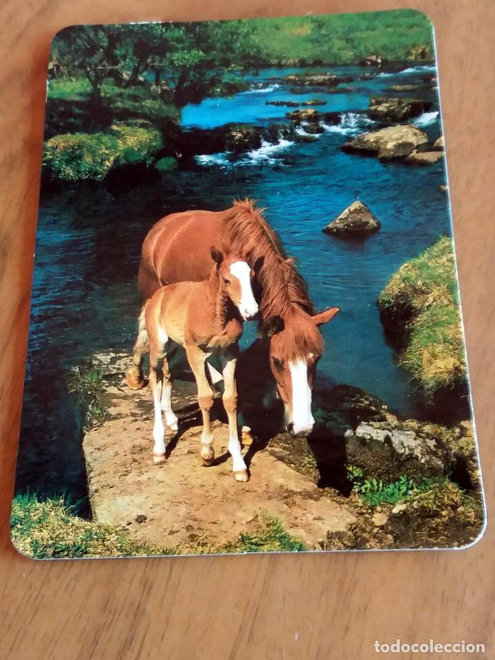 Sammeln von Kalendern: CALENDARIO DE BOLSILLO - CABALLOS - CON PUBLICIDAD (VER FOTO ADICIONAL) A&Ntilde;O 1995