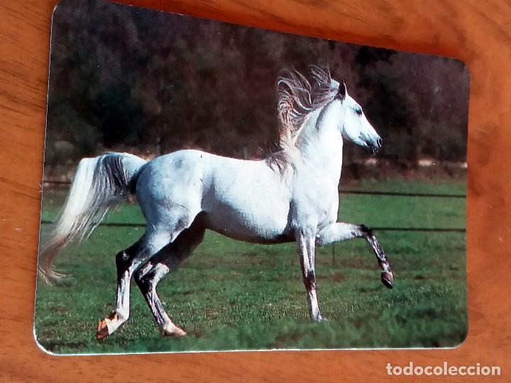 Sammeln von Kalendern: CALENDARIO DE BOLSILLO - CABALLOS - CON PUBLICIDAD (VER FOTO ADICIONAL) A&Ntilde;O 1995