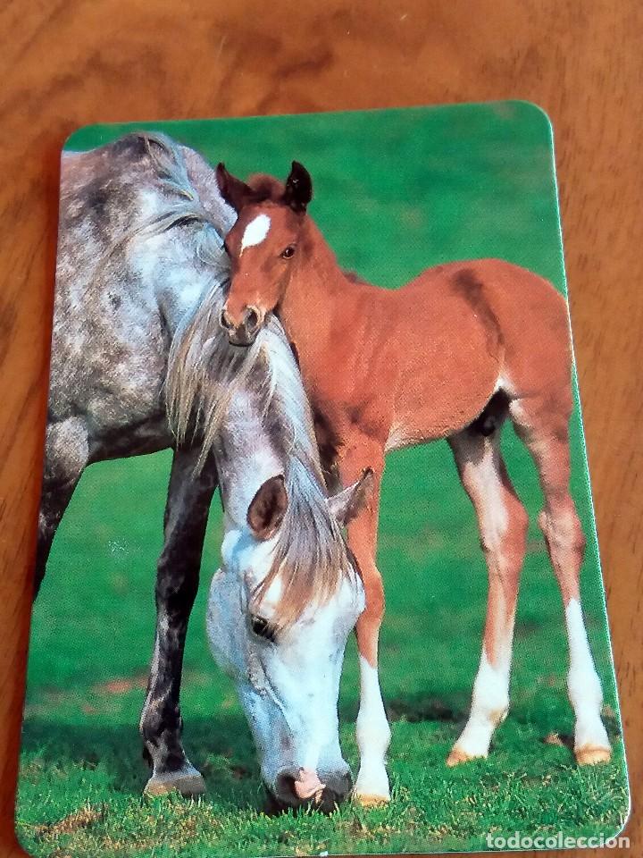 Sammeln von Kalendern: CALENDARIO DE BOLSILLO - CABALLOS - CON PUBLICIDAD (VER FOTO ADICIONAL) A&Ntilde;O 1996