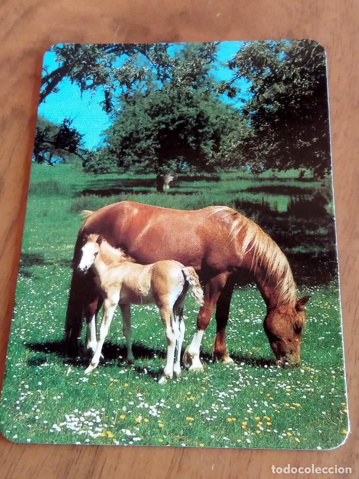 Sammeln von Kalendern: CALENDARIO DE BOLSILLO - CABALLOS - SIN PUBLICIDAD (VER FOTO ADICIONAL) A&Ntilde;O 1992