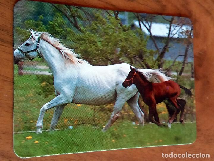 Sammeln von Kalendern: CALENDARIO DE BOLSILLO - CABALLOS - SIN PUBLICIDAD (VER FOTO ADICIONAL) A&Ntilde;O 1992