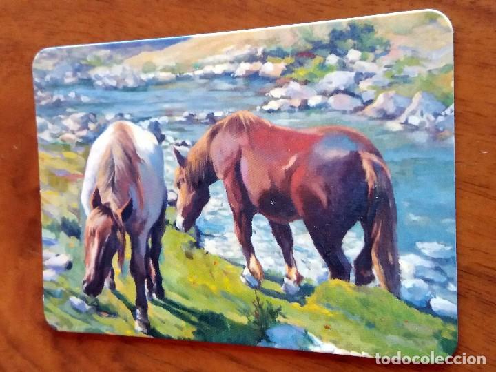 Sammeln von Kalendern: CALENDARIO DE BOLSILLO - CABALLOS - SIN PUBLICIDAD (VER FOTO ADICIONAL) A&Ntilde;O 1998