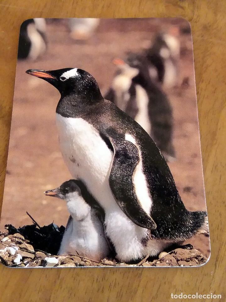 Sammeln von Kalendern: CALENDARIO DE BOLSILLO - PING&Uuml;INOS - CON PUBLICIDAD (VER FOTO ADICIONAL) A&Ntilde;O 1997