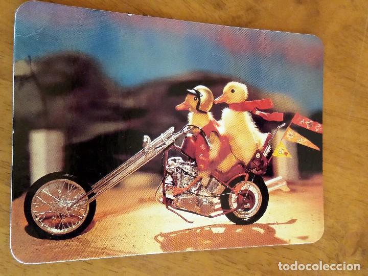 Sammeln von Kalendern: CALENDARIO DE BOLSILLO - POLLITOS - CON PUBLICIDAD (VER FOTO ADICIONAL) A&Ntilde;O 1999
