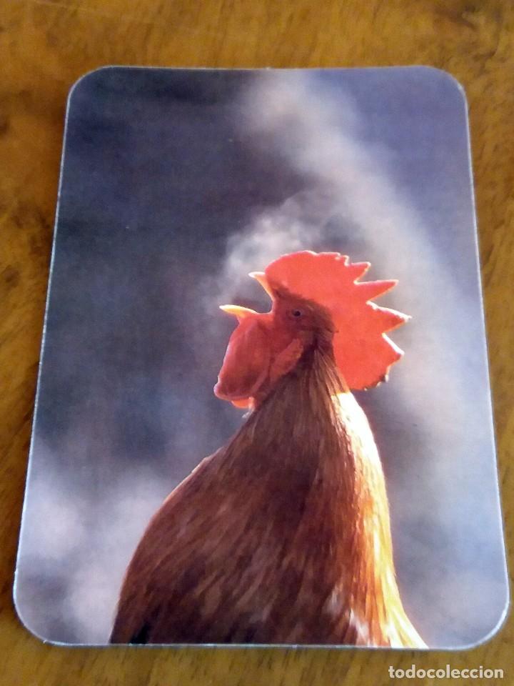 Sammeln von Kalendern: CALENDARIO DE BOLSILLO -GALLO - GALLINA - SIN PUBLICIDAD (VER FOTO ADICIONAL) A&Ntilde;O 1988