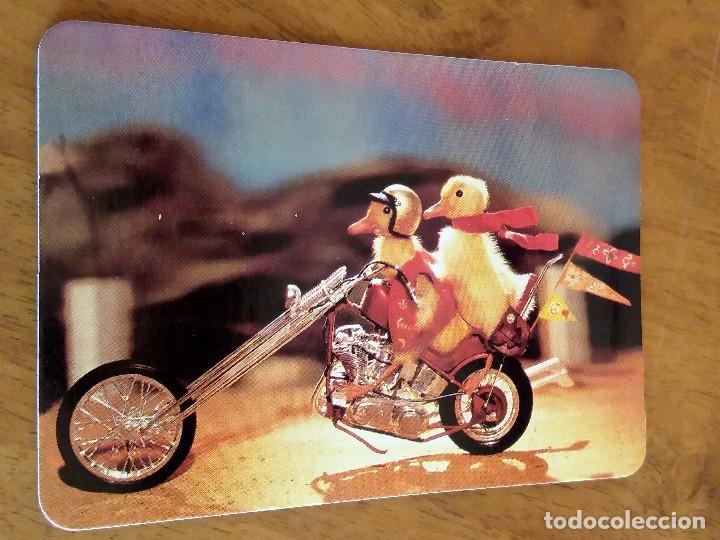 Sammeln von Kalendern: CALENDARIO DE BOLSILLO - POLLITOS - CON PUBLICIDAD (VER FOTO ADICIONAL) A&Ntilde;O 1999